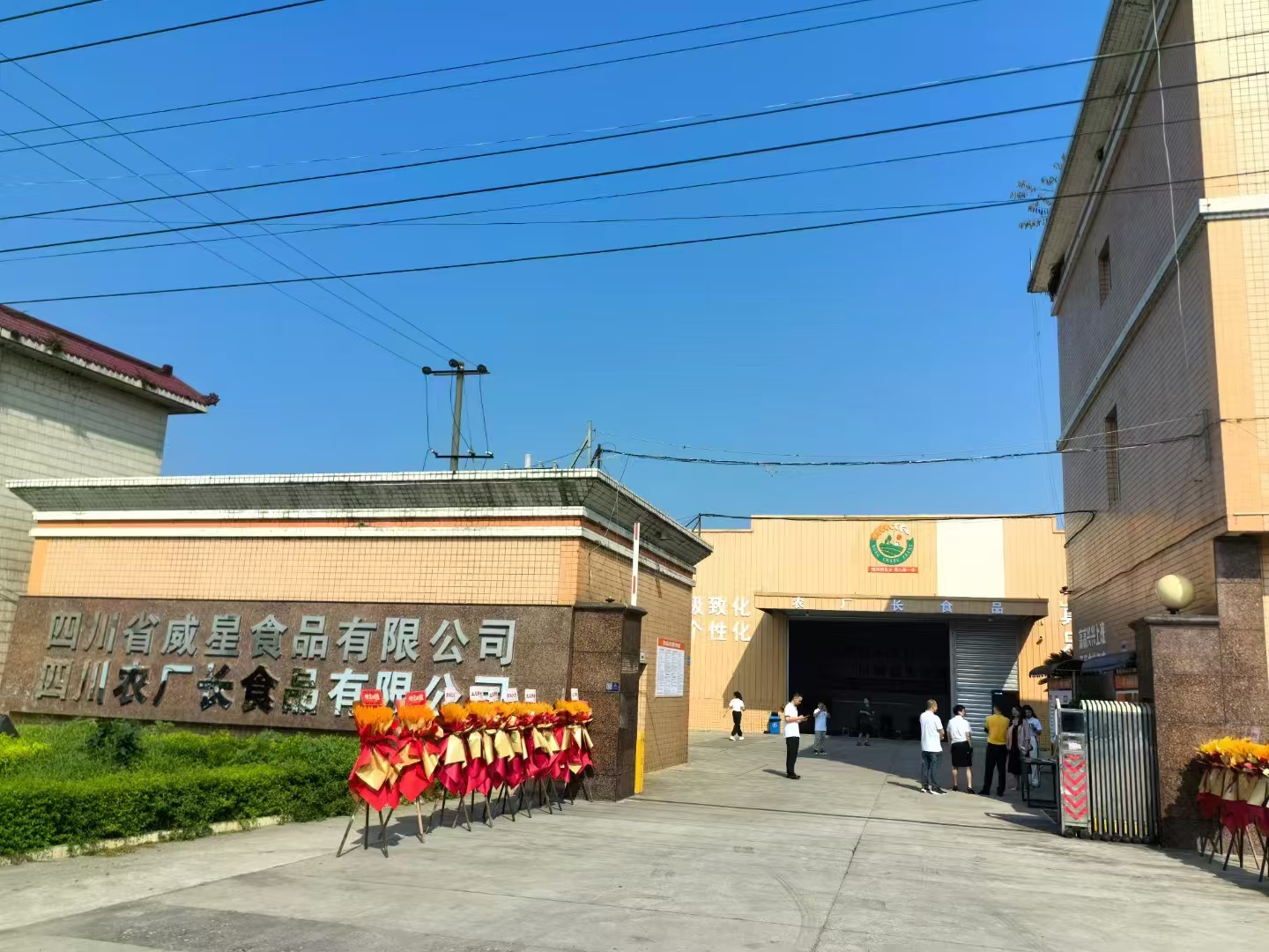 四川農(nóng)廠長(zhǎng)食品：匠心打造，引領(lǐng)蘿卜干定制新潮流